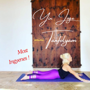 Yin Yoga Yin Yoga