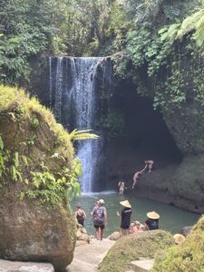 IMG 0412
