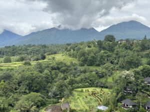 IMG 1250 Large