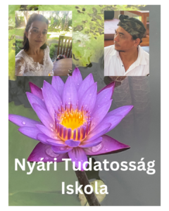 nyari 3